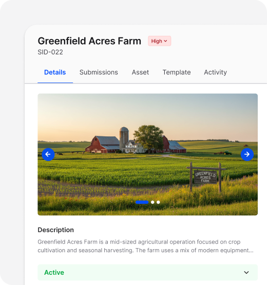 Mobile-friendly data capture